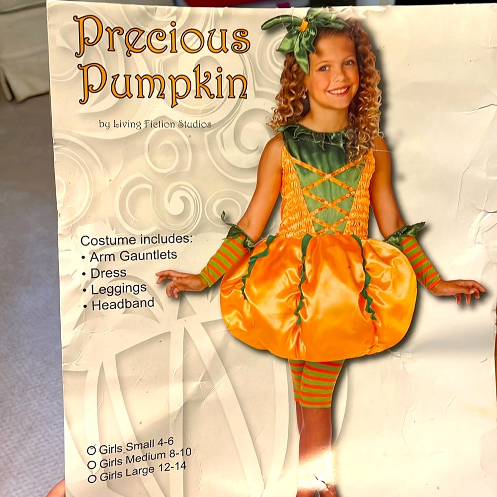 Precious Pumpkin Halloween Costume